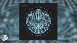 One Function  - Evolution