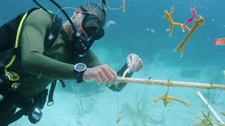 Download Lagu Experience Nature Unfiltered MP3