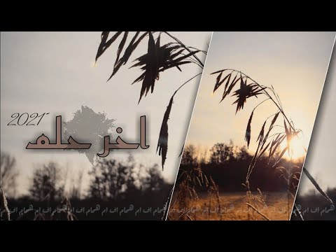 اغاني عراقية 2021 قلبي بيه طبع موزين نسخه مميزة