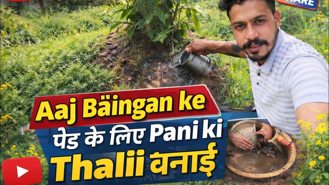 Aaj Baingan ke Ped ke Liye Pani ki Thali Banai | Desi Farming Tips 🌱
