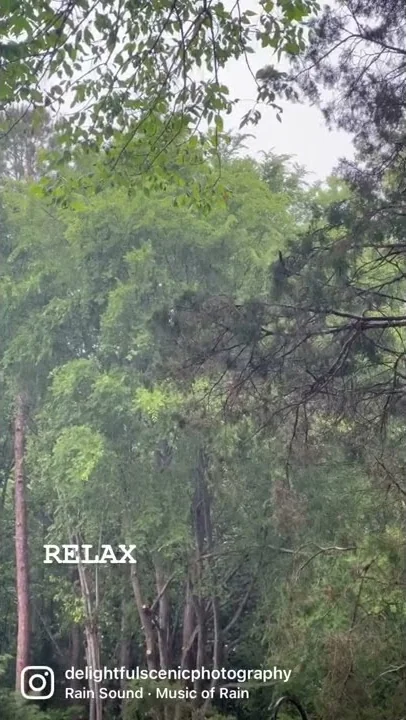 Relax, it's Raining.