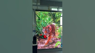 GOB flexible LED module for customized LED screen.  #ledscreen #customized