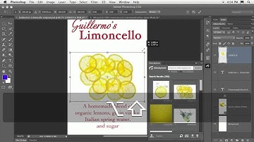 iStock Photo Plugin - Adobe Photoshop CS6 Intensive with Lesa Snider