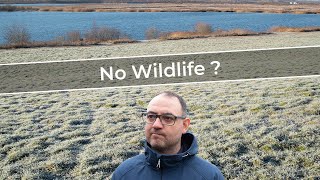 Does Fear of Missing Out ('FOMO') Affect Your Wildlife Photography? Here's How I Deal With It...