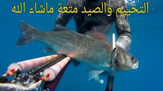 خرجة صيد ممتعة مع خاوتي ('spearfishing .loup de meur . SAre.mulet . broché.)Camping and cooking