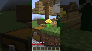Trolling a Scammer On My Skyblock Server On Hyrise Lifesteal Minecraft Public SMP #short
