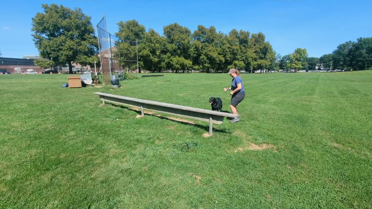 Creativity: Walking balance with a turn; 2 on; 4 on; Under; Jump