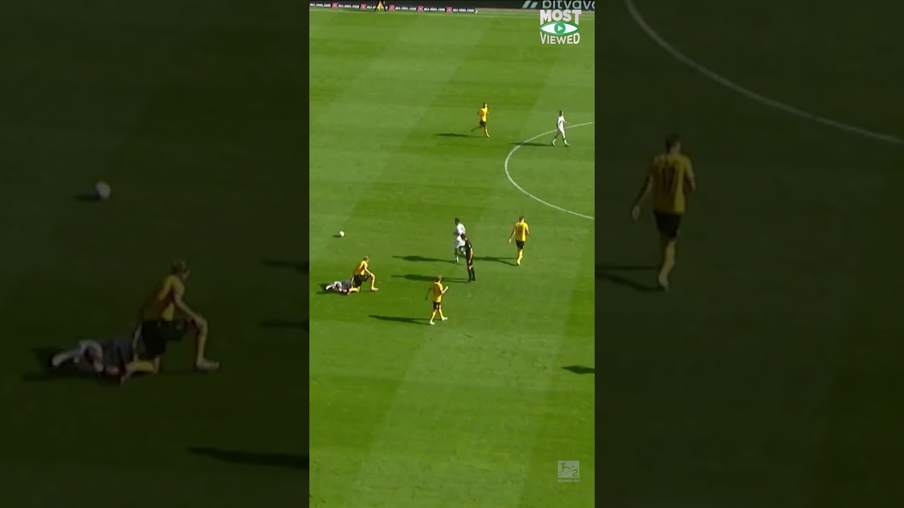 Brutale Rot-Szene von Dynamo-Profi Sapina