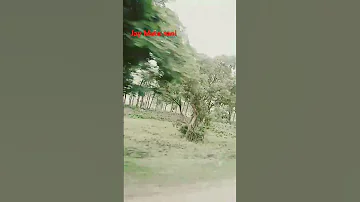 Jalalgarh Kali Mandir Jalalgarh Jalalgarh Sima Kali Mandir Matarani Song Viralvideo 