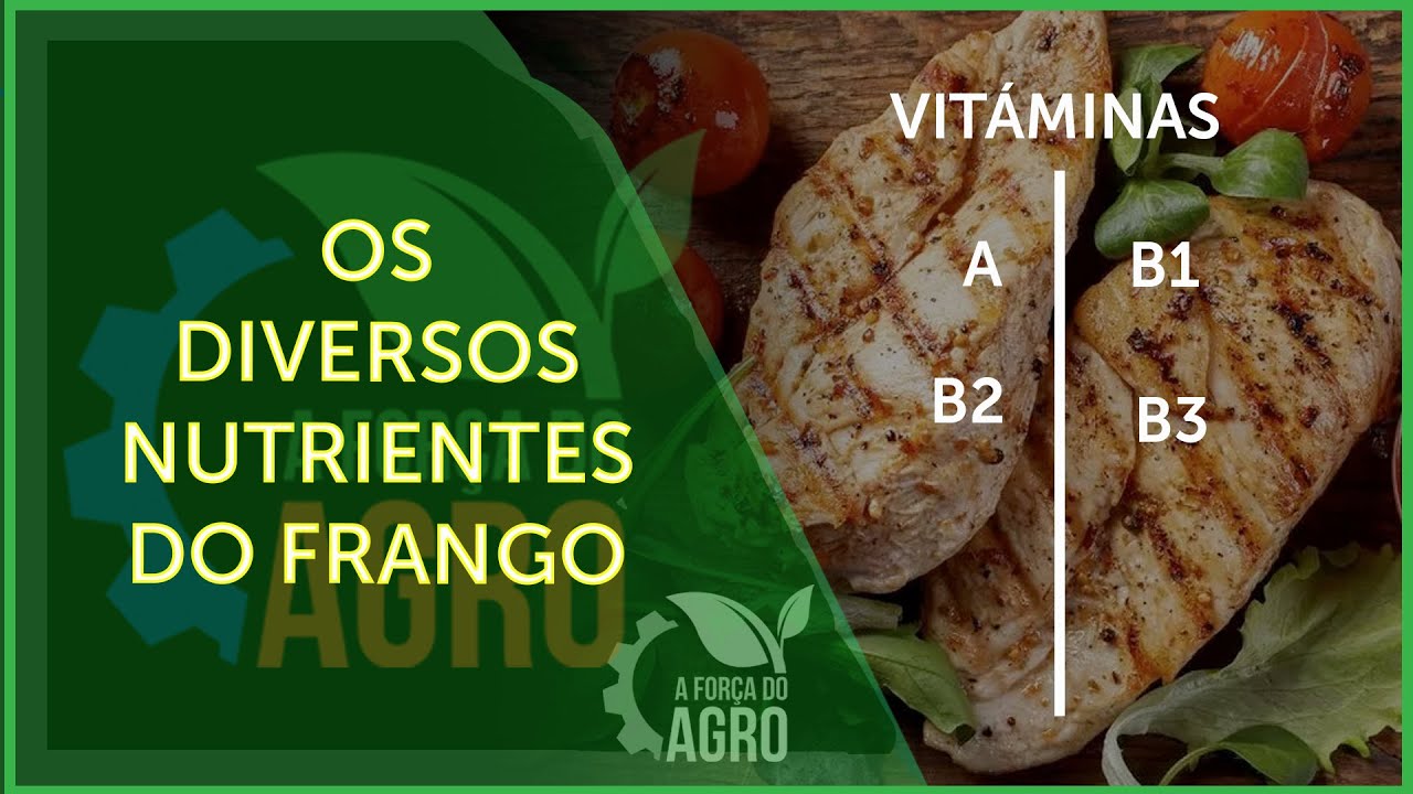 Do coração à boa forma, a carne de ave é extremamente saudável