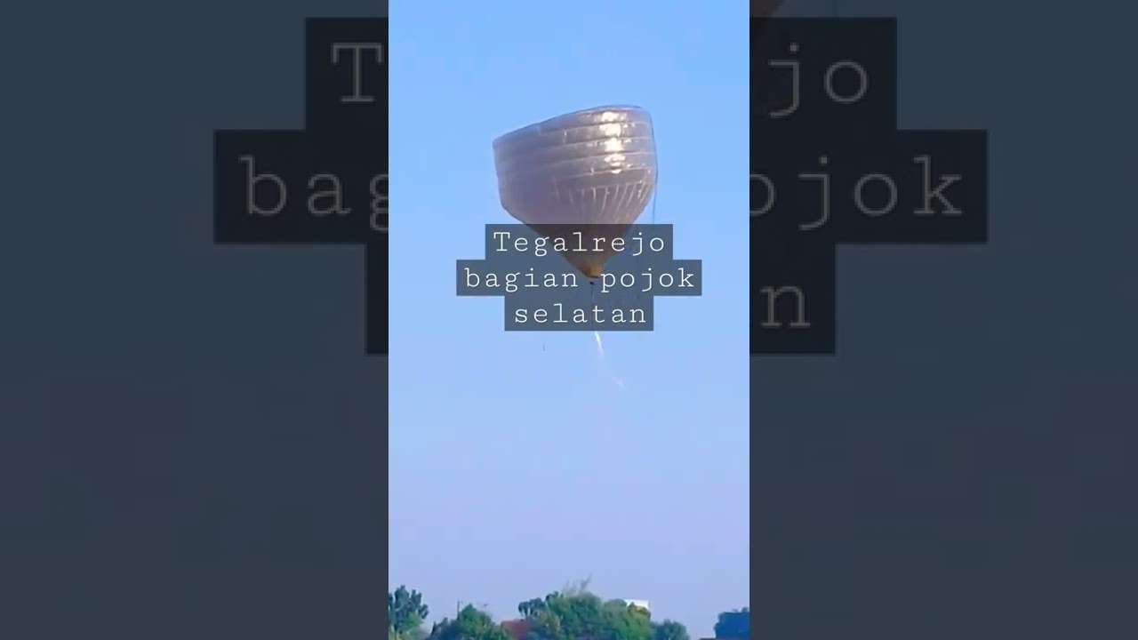 hobi, karya seni ,dan tradisi.