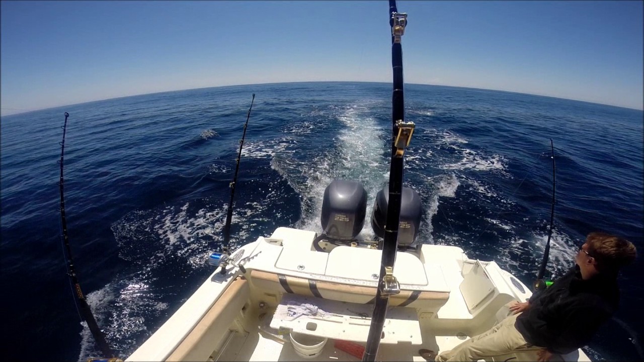 Tuna fishing Ocean City, MD YouTube