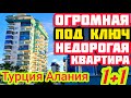 НЕДОРОГО ОГРОМНАЯ ДВУШКА квартира в Алании ПОД КЛЮЧ недвижимость в Турции