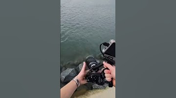 Ai cũng muốn làm Photographer cho đến khi như thế này #photography #funny