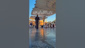 قران كريم #قران_كريم #راحة_نفسية