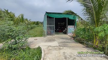 Ms 0894 Nhà vườn giá rẻ có thổ cư kinh doanh mua bán xã Vĩnh Hựu Gò Công Tây giá 650 triệu