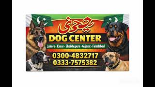 Army Dog Center Okara Lahore Faisalabad | 03005654528 | Khoji Dog Helpline Sniffer Dog