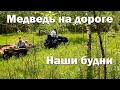 Новый дом для уток// Встреча с медведем// Еще больше кур// Ландыши