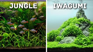 Must-Try Aquascaping Styles for Your Planted Aquarium