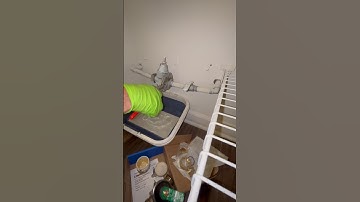 Watts PRV Replacement #plumber #plumbing #diy #howto #asmr #waterpressure #plumbingrepair #shorts