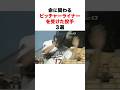 命に関わるピッチャーライナーを受けた投手３選㊗️70万再生#プロ野球