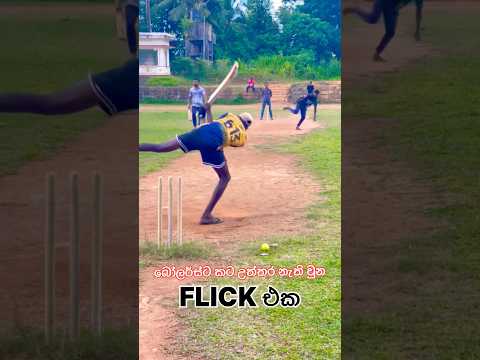 Best flick shot ever cricket #cricket #flickshot #viral #viral #trending #sports #shorts