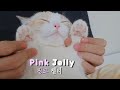 Let's take Care of the PINK JELLY of my Kittens #Moist