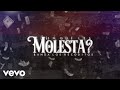 Banda Los Recoditos - ¿En Qué Les Molesta? (LETRA)