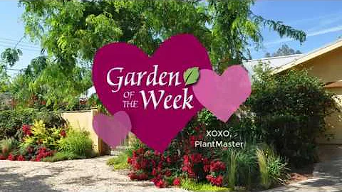 Garden of the Week - Jody Palmer - Fresno