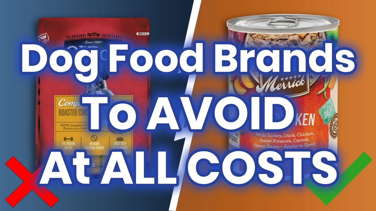 8 Dog Food Brands To AVOID At All COSTS! (And A Few That Are Safe
