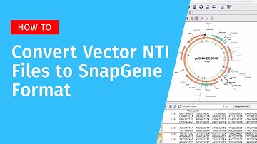 Convert Vector NTI Files to SnapGene Format