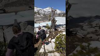 A unique tree above a frozen lake in the desolation wilderness. #tahoe #snow #alpinelake