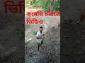 কমেডি চরিত্রে অভিনয় করেছেন।#shortvideos #funny #ShortVideo