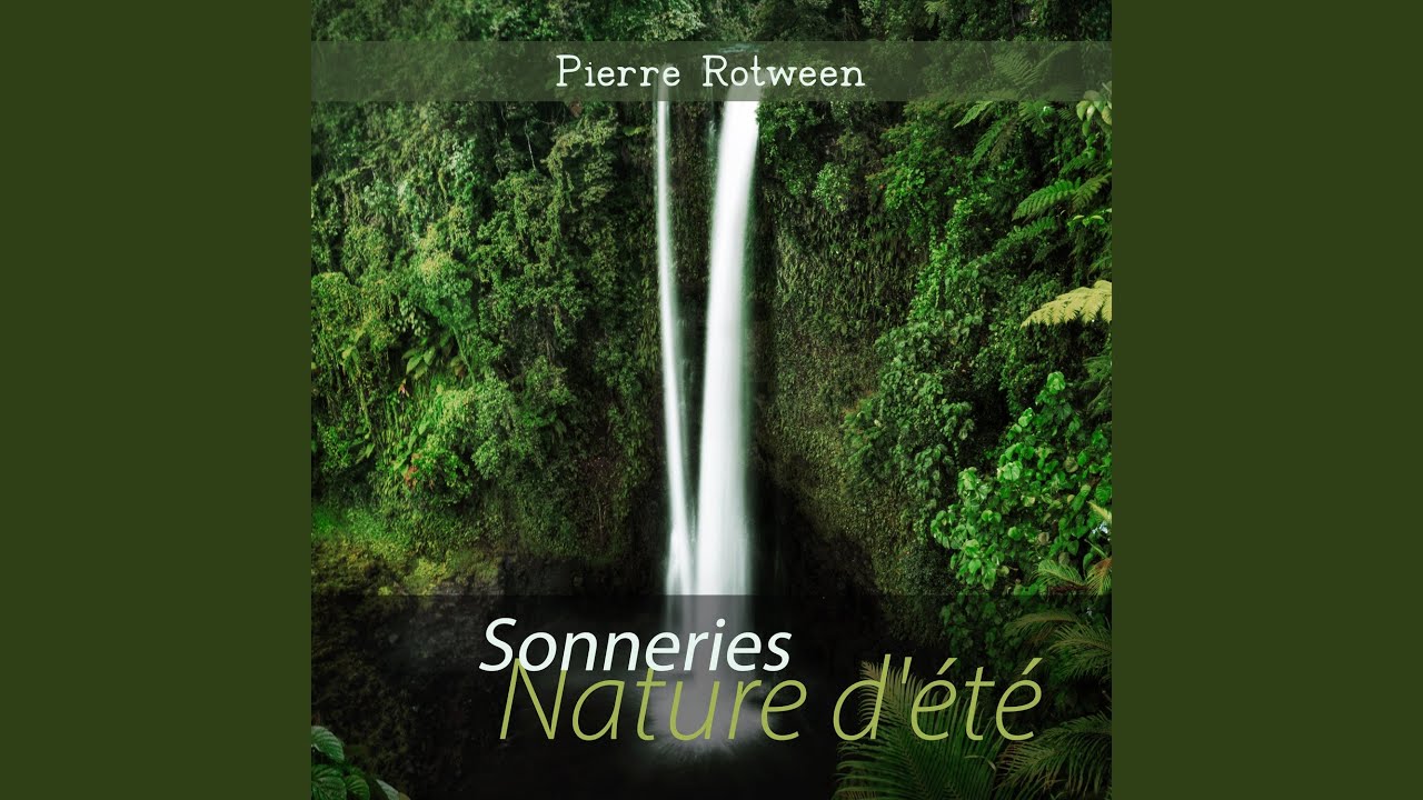 Pure Harmonie des Sens auf YouTube ansehen