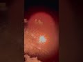 Fourth of July fireworks 🎇