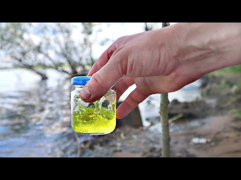 ЭТОТ АРОМАТ ЗАСТАВИТ КЛЮНУТЬ ДАЖЕ СЫТУЮ РЫБУ! какая рыба любит запах клубники?
