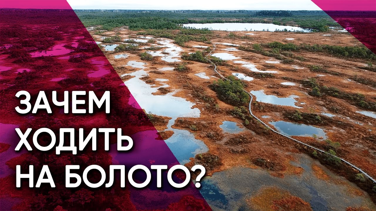 Какердая — Как эстонцы заново открыли болота. Путь через топи, легенды и дыхание древней земли