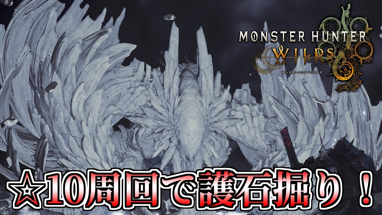 【MHWilds】約1カ月ぶりに☆10周回して護石を掘る!【モンスターハンターワイルズ】