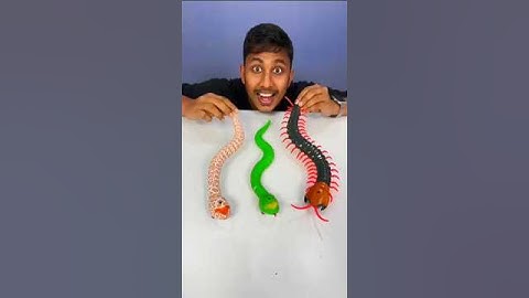 Remote Control Kankhajura and RC Snake #rcsnake