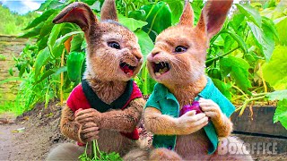 Une Famille De Lapins Volent Les Légumes Dun Fermier Pierre Lapin Extrait Vf 4K