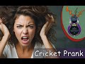 Cricket prank noise maker