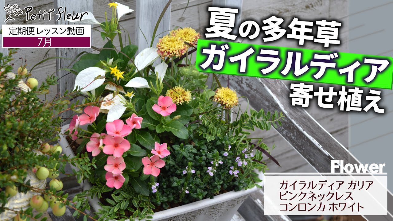 あなただけのオリジナル寄せ植え』※完成品 | プチフルール ネットショップ