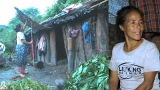 Family in the Jungle || Season - 2 || Video - 77 || Life in the cowshed ||
