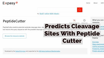 How To Use PeptideCutter Tool - Complete Guide | Bioinformatics Tools
