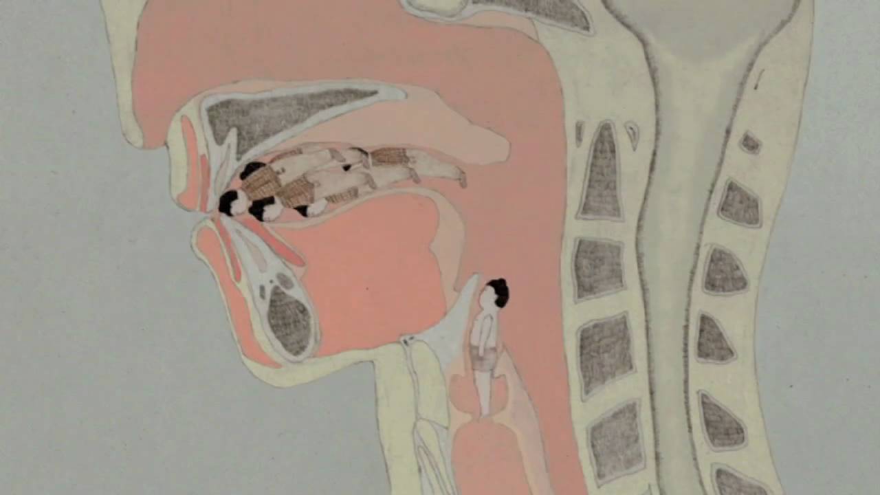 和田淳と世界のアニメーション