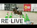 🔴 LIVE | Young Riders | FEI Jumping Nations Cup™ Youth 2024 Busto Arsizio (ITA)