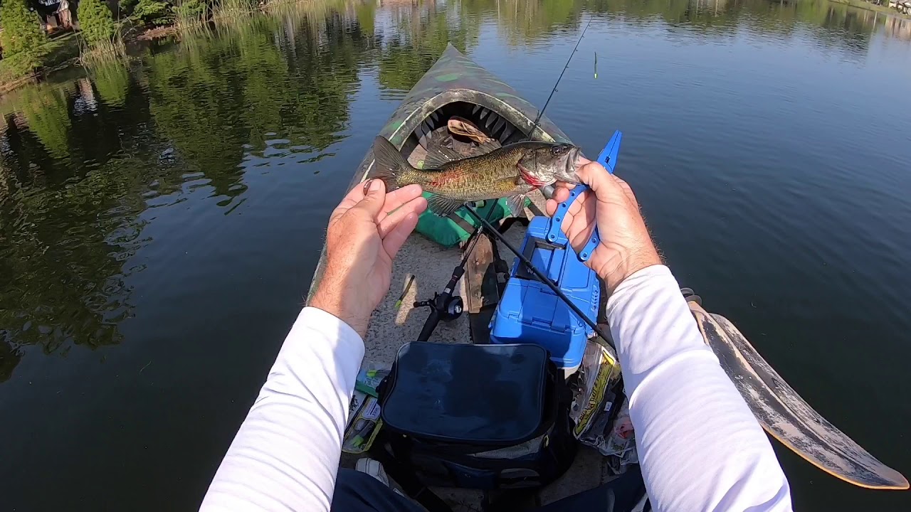 Bass Fishing in Lakeland Florida YouTube