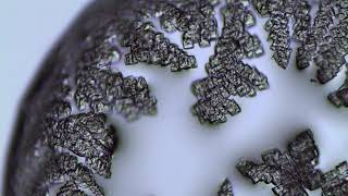 NaCl KCl Su nested 068069