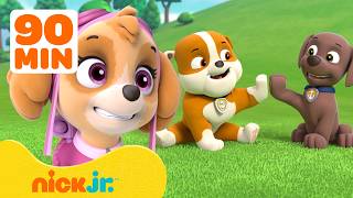 90 minutes paw patrol pups being best friends ft skye zuma