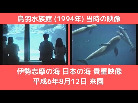 鳥羽水族館 (1994年) 伊勢志摩の海 日本の海 当時の映像